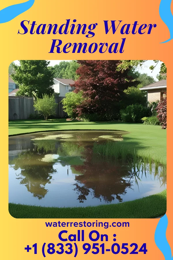 Standing Water Removal in Silver Plume, CO